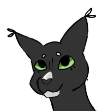 Avatar for Sophia Wang from gravatar.com
