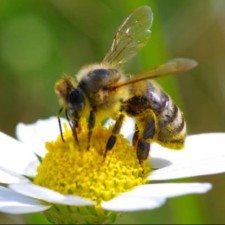 Avatar for Jeroen van Rensen from gravatar.com