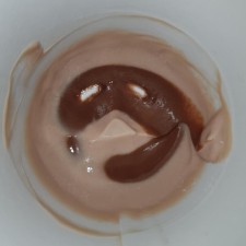 Avatar for Bancal from gravatar.com