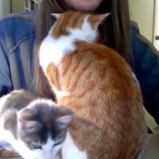 Avatar for douglas.rees from gravatar.com