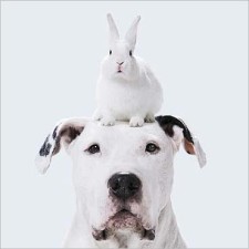 Avatar for sametmax from gravatar.com