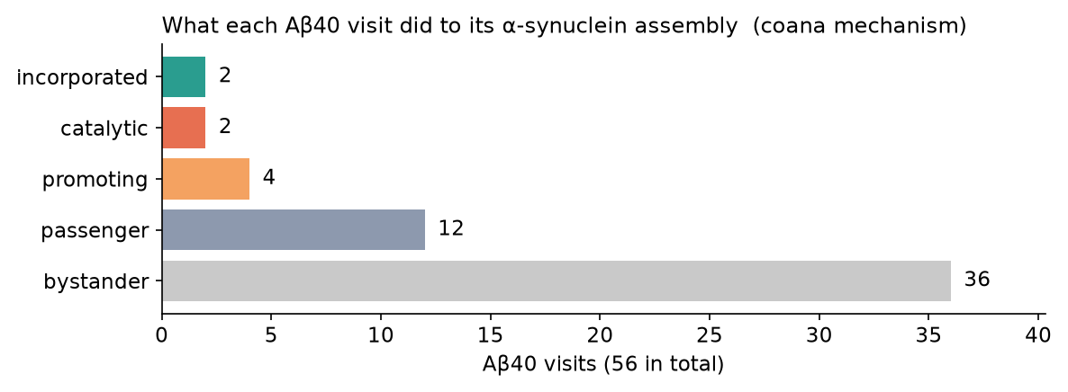 Guest roles for Aβ40 and Aβ42