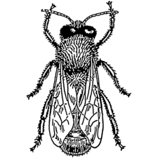 Avatar for piers from gravatar.com