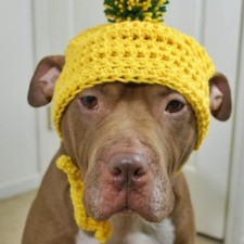 Avatar for rwijtvliet from gravatar.com