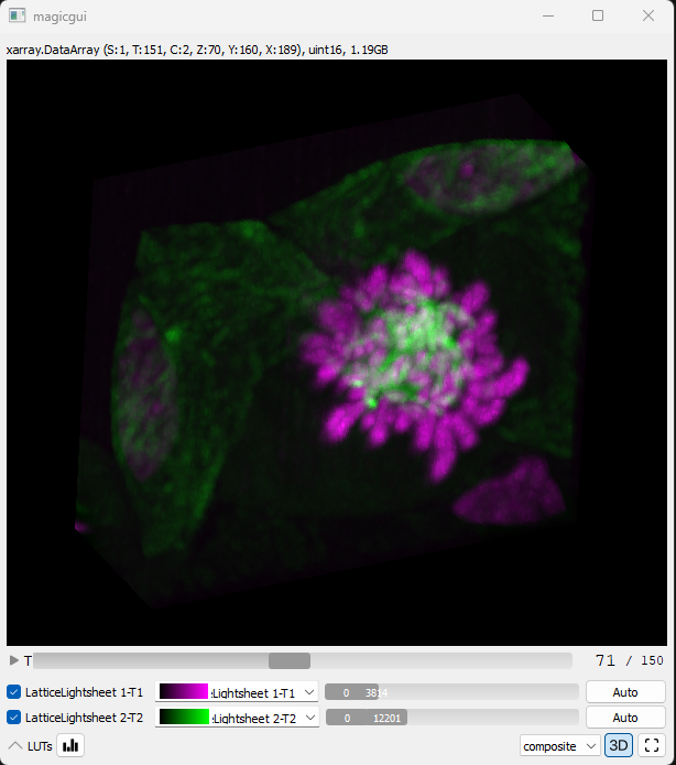 5D CZI inside NDV