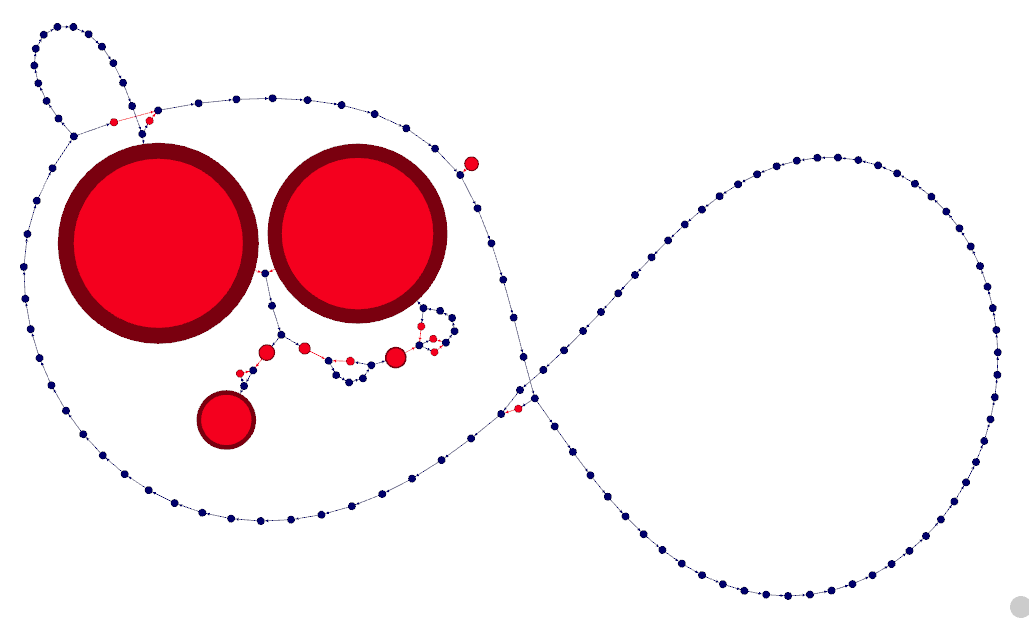 spacegraphcats graph