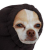 Avatar for pehcastro from gravatar.com