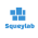 Avatar for Squeylab from gravatar.com
