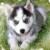 Avatar for OnlyAR from gravatar.com