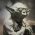 Avatar for AndyLin-Hao from gravatar.com