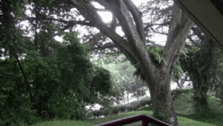 gimbal IHN result