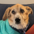 Avatar for jonesetc from gravatar.com