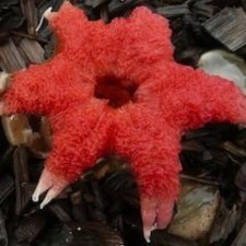 Avatar for Damon Permezel from gravatar.com