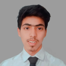 Avatar for majid ansari from gravatar.com