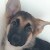 Avatar for yail259 from gravatar.com