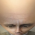 Avatar for AverseABFun from gravatar.com