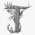 Avatar for Techiral from gravatar.com