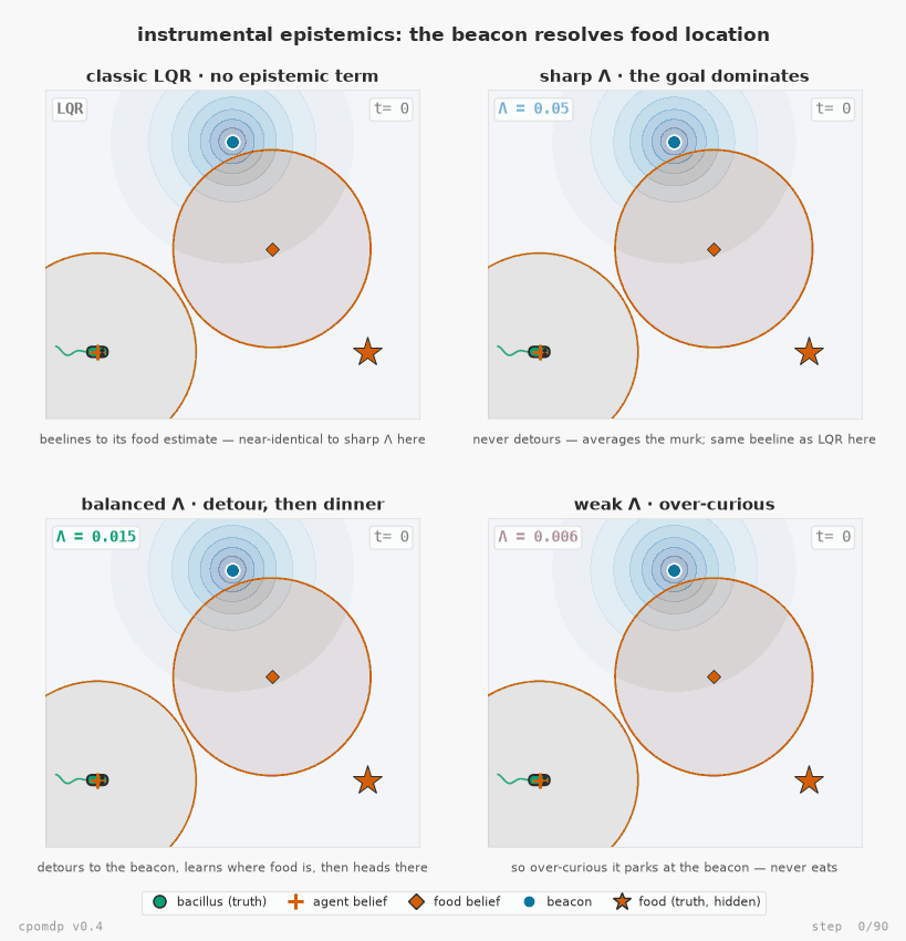 Four bacilli learning where the food is, under different goal precisions Λ, via continuous active inference