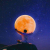 Avatar for city945 from gravatar.com