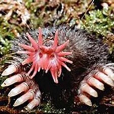 Avatar for garamonfok from gravatar.com