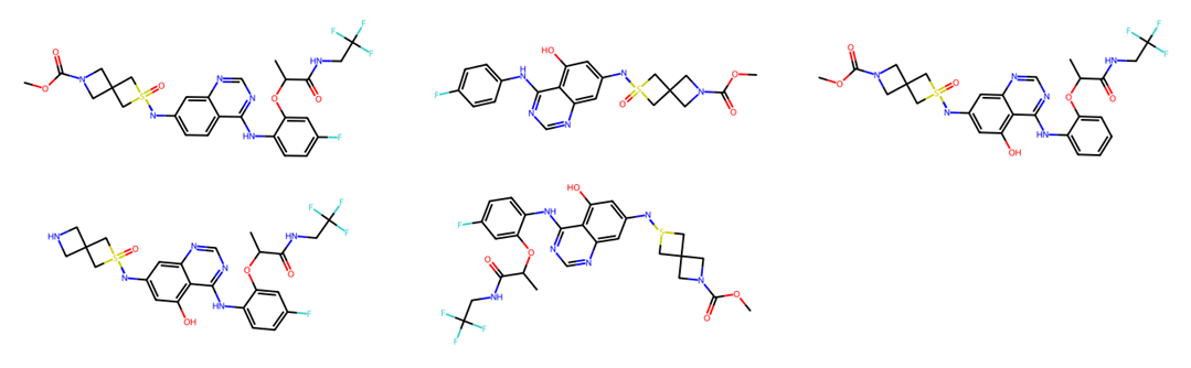 Example of partial scaffold enumeration