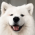 Avatar for Shiryou from gravatar.com