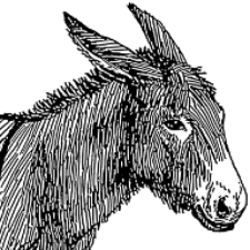 Avatar for Boldewyn from gravatar.com