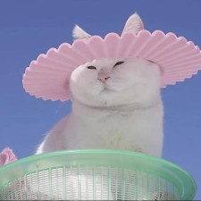 Avatar for rschlaikjer from gravatar.com