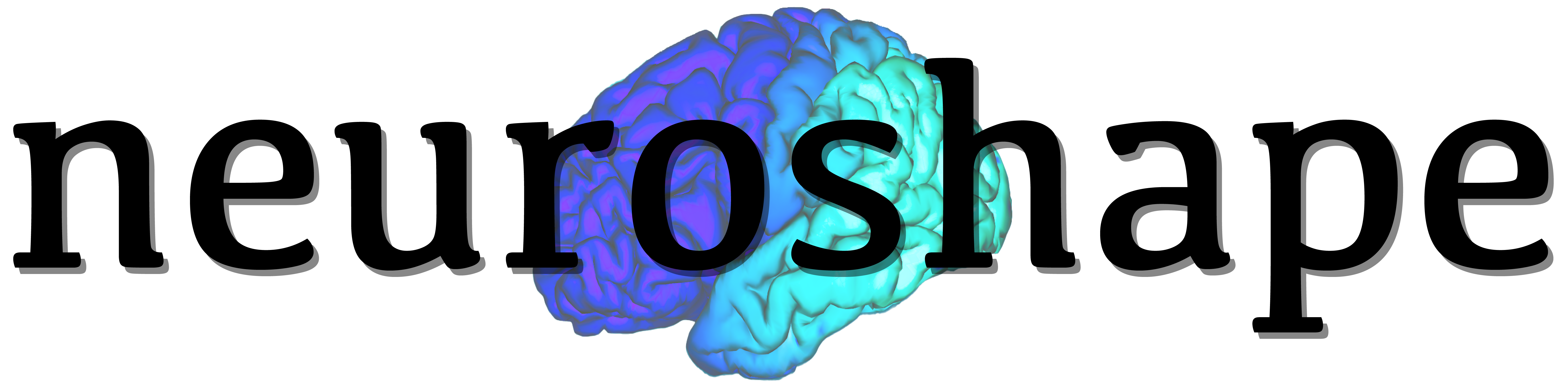 https://raw.githubusercontent.com/nikitas-k/neuroshape-dev/main/docs/_static/neuroshape_logo.png?sanitize=true