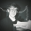 Avatar for jabelone from gravatar.com