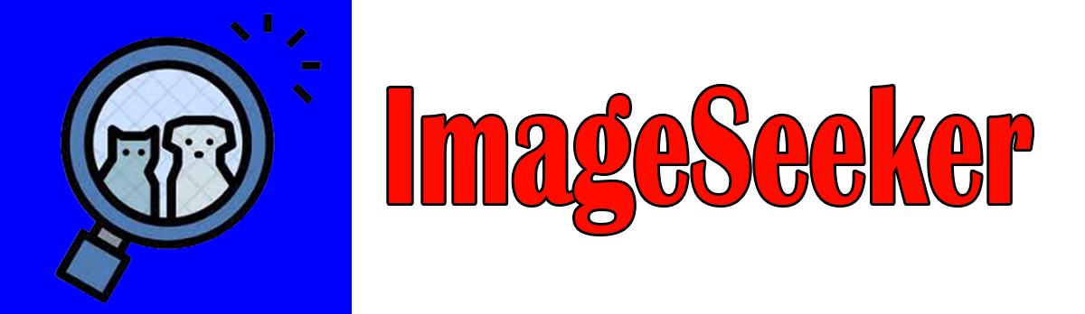 ImageSeeker Logo