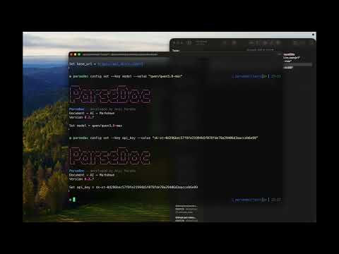 Demo Video