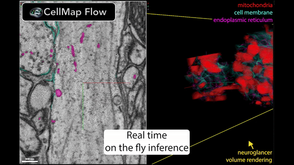 Animated demonstration of CellMapFlow's real-time data processing workflow