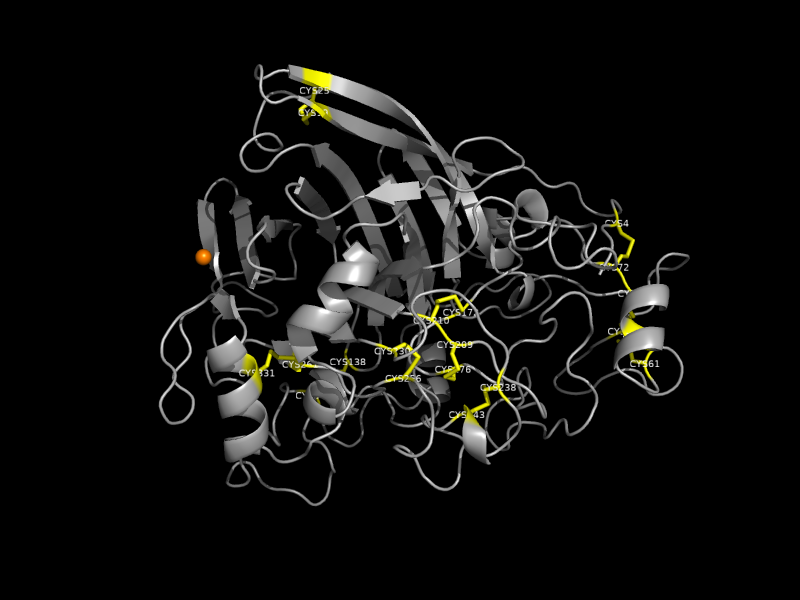 Crosslink view of cellulase (1CEL)