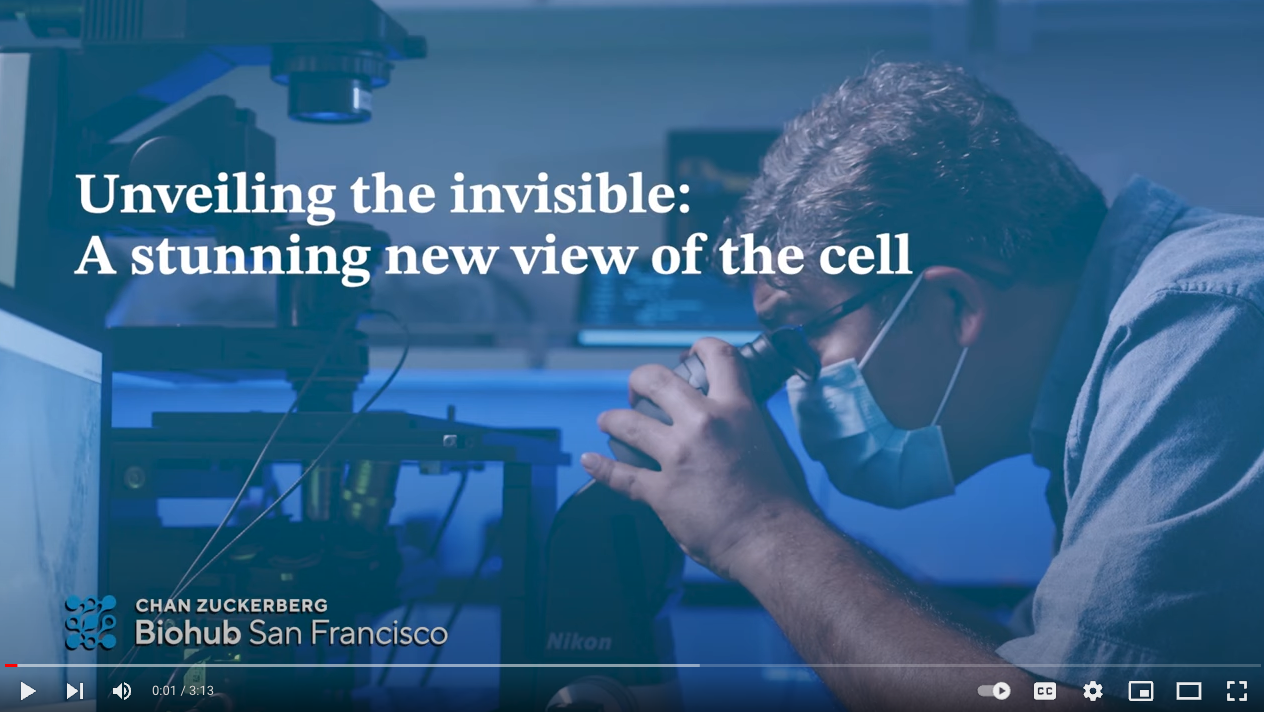 Unveiling the invisible