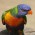 Avatar for yoshi47 from gravatar.com