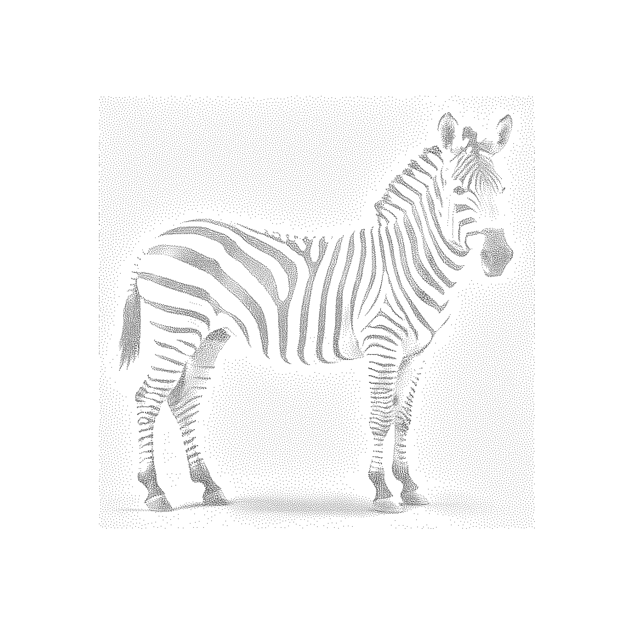 Zebra points