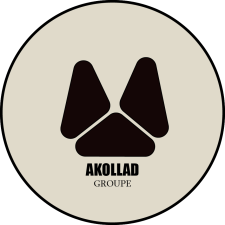 Avatar for Akollad Groupe from gravatar.com