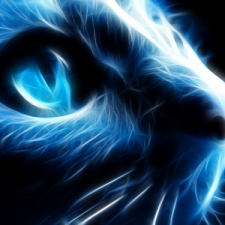 Avatar for Jonathan Oberländer from gravatar.com