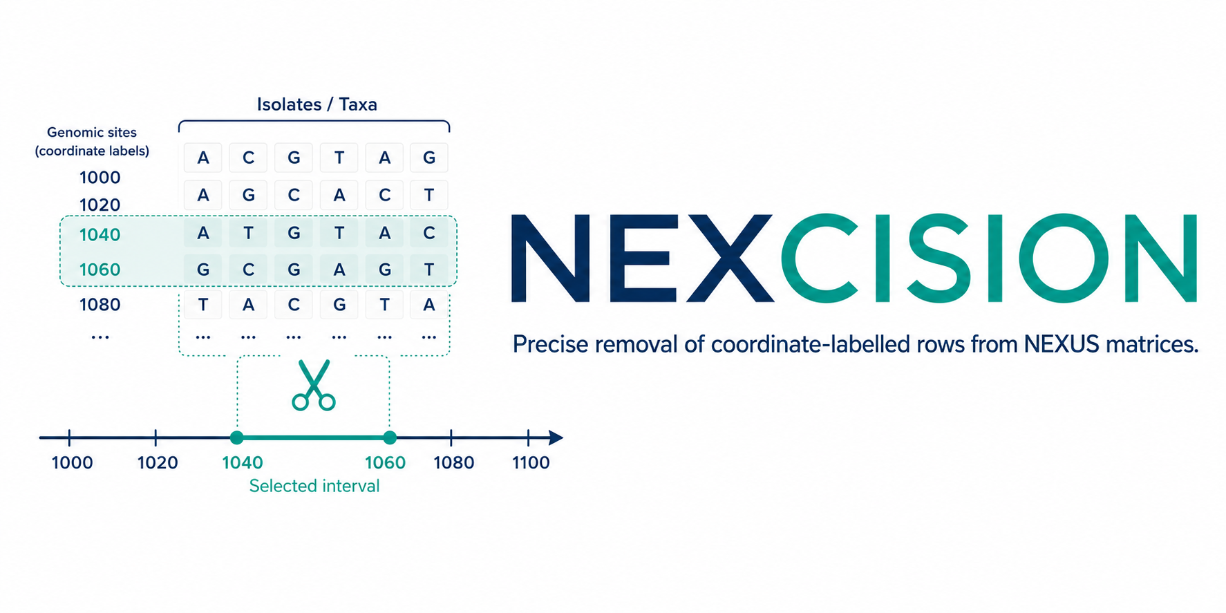 NEXCISION — precise removal of coordinate-labelled sites from NEXUS matrices
