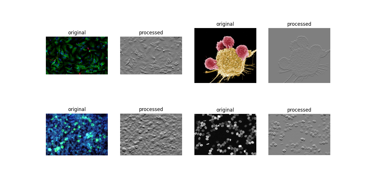 Bio Script