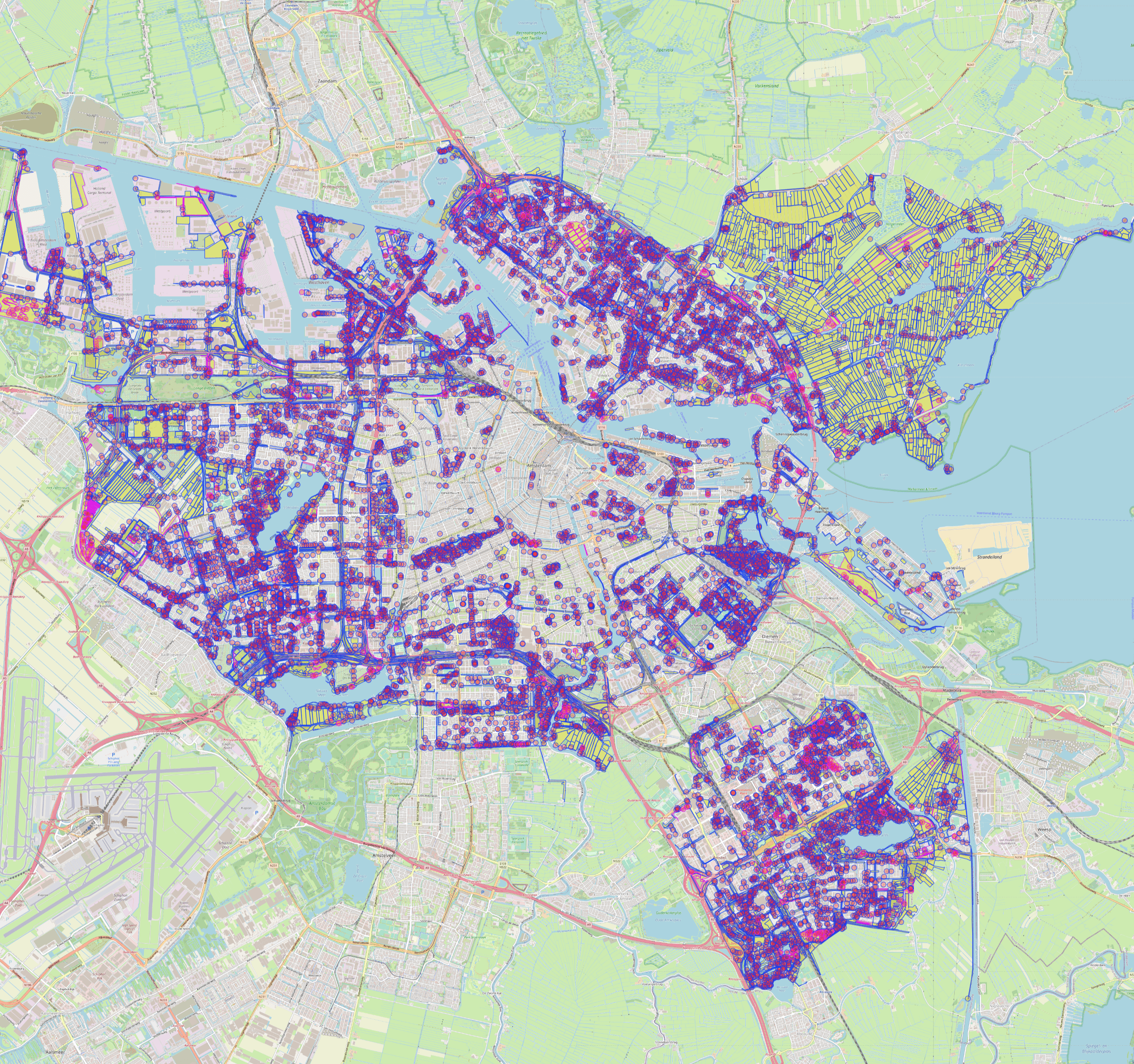 Amsterdam Forest Meadow Grass