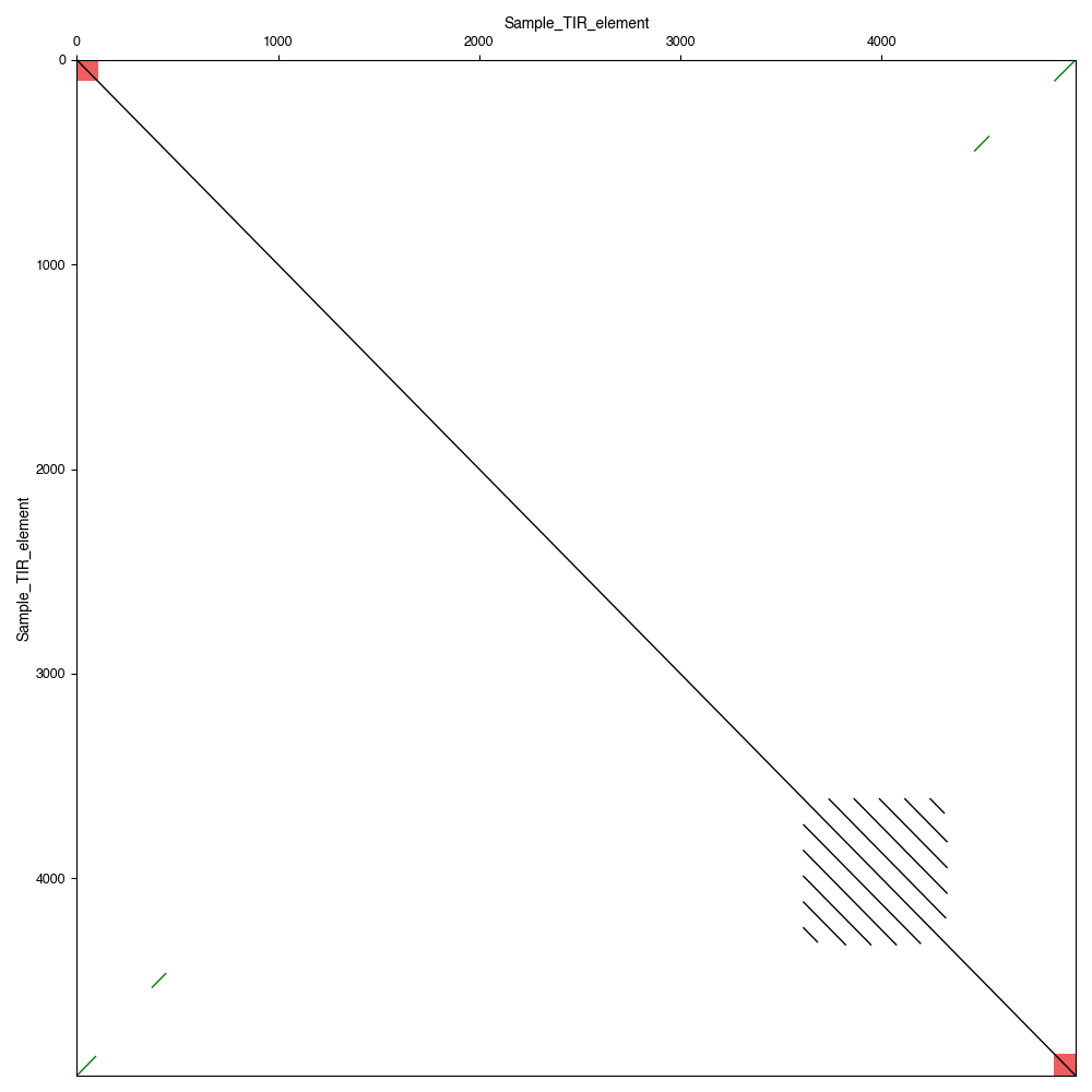 TIR element blastn self-align dotplot with detected TIRs highlighted in red on the diagonal.