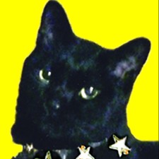 Avatar for dazro from gravatar.com