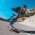 Avatar for adw0rd from gravatar.com
