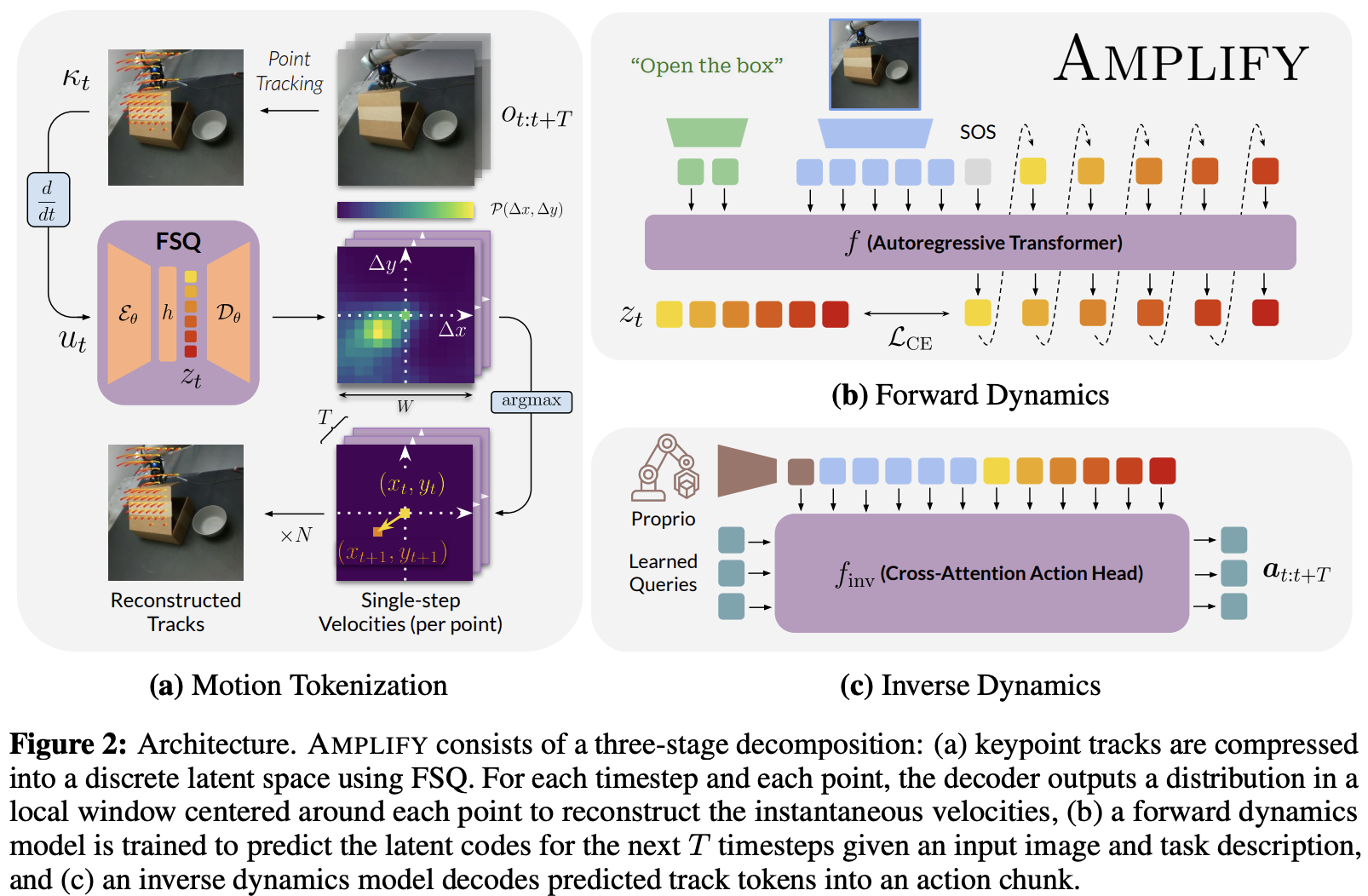 amplify-figure-2