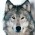 Avatar for arcticfoxnv from gravatar.com