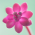 Avatar for tython from gravatar.com