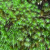 Avatar for rsh3khar from gravatar.com