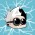 Avatar for DrWheelicus from gravatar.com